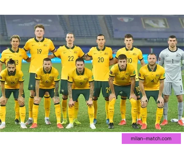 世界杯竞猜赔率网站全面解析与投注技巧深度指南